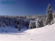 Schwalbenhauptwiese (Strae nach Giebel)