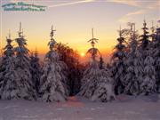 Sonnenuntergang Winterwald beim Oberbecken PSW Goldisthal