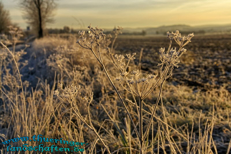 Landschaft bei Gompertshausen