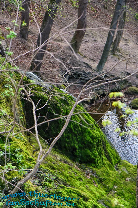 Lutter-Wasserfall bei Grobartloff