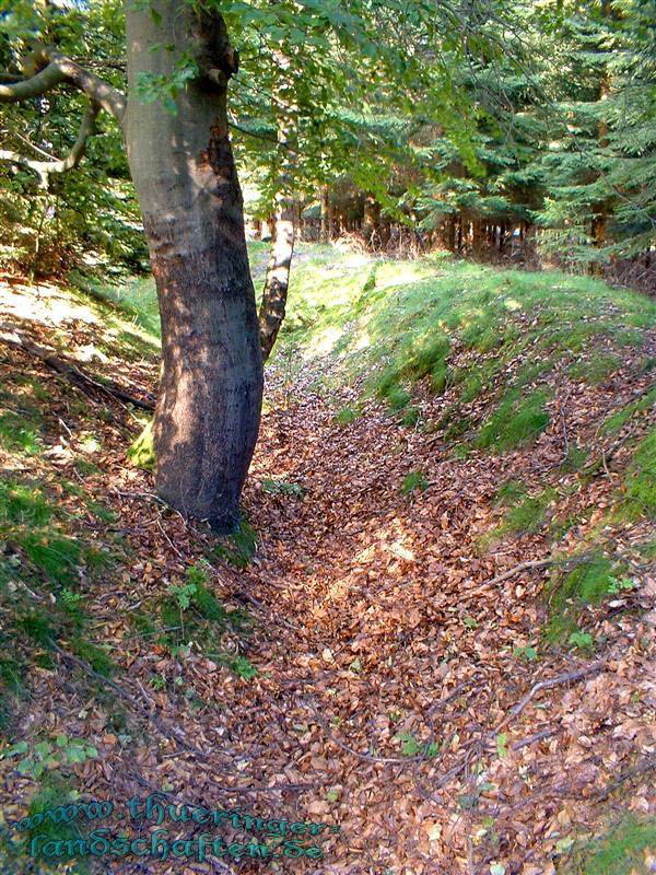 Landwehr auf dem Heckenbhl bei Brden