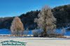 Landschaft bei Seidigenstadt