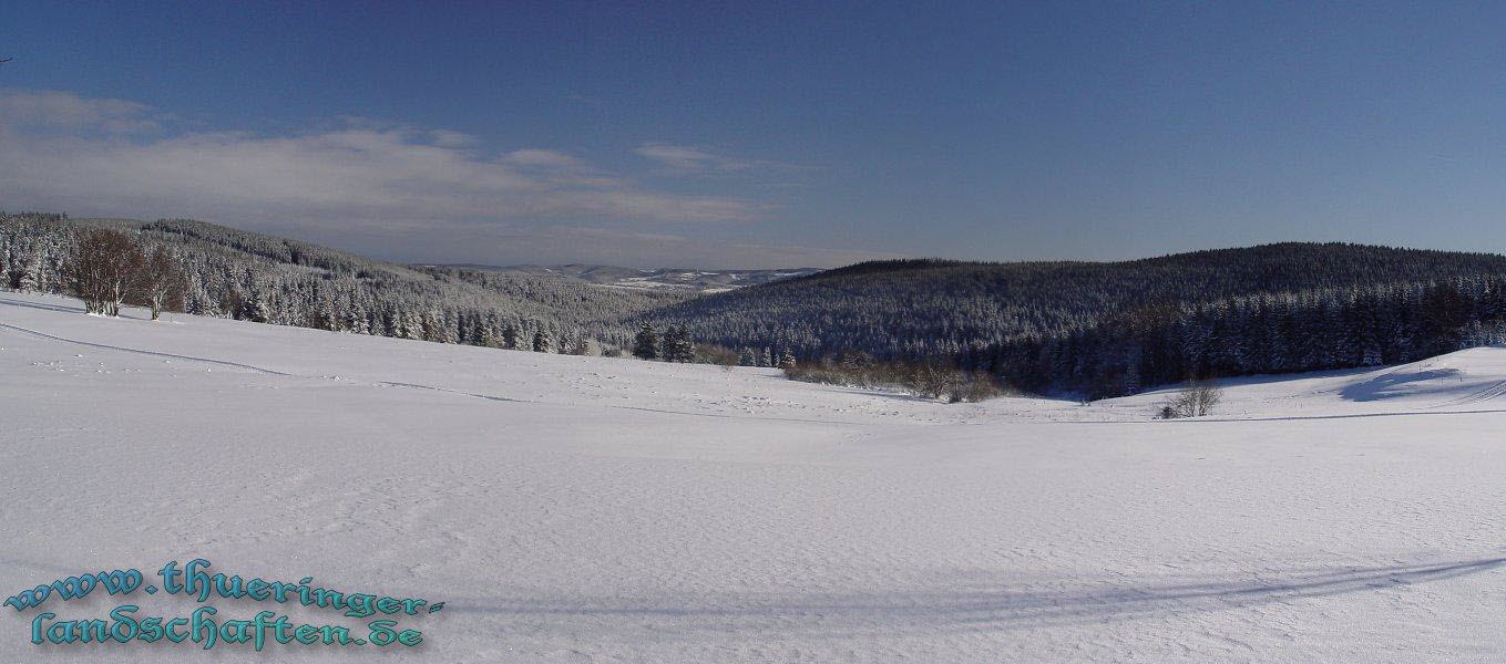 Blick von Neustadt-Rstg