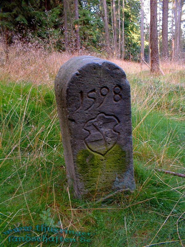 Landwehr auf dem Heckenbhl bei Brden