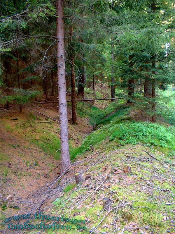 Landwehr auf dem Heckenbhl bei Brden