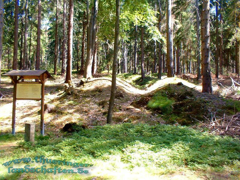 Landwehr zwischen Wiedersbach und Hildburghausen