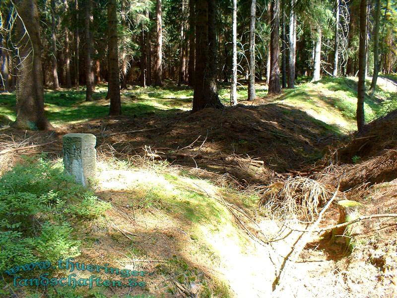 Landwehr zwischen Wiedersbach und Hildburghausen