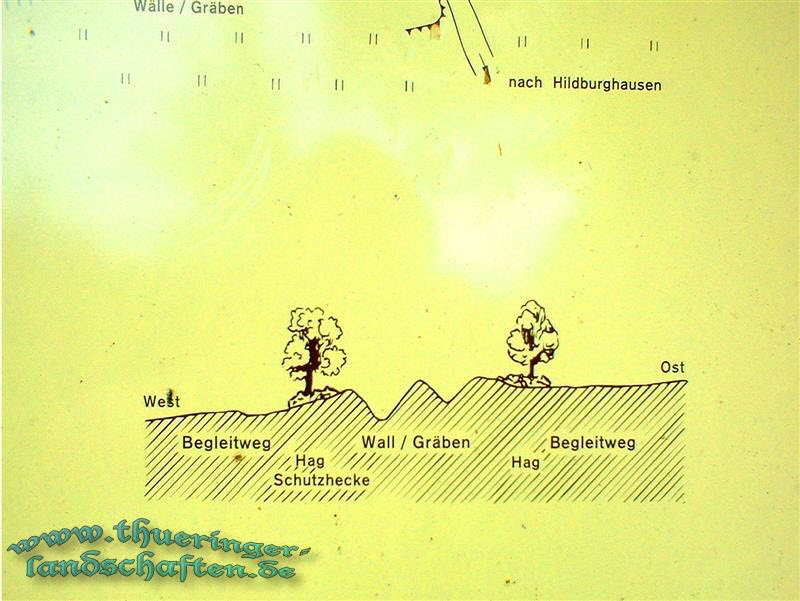 Landwehr zwischen Ebenhards und Reurieth