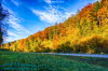 Wald bei Bad Berka