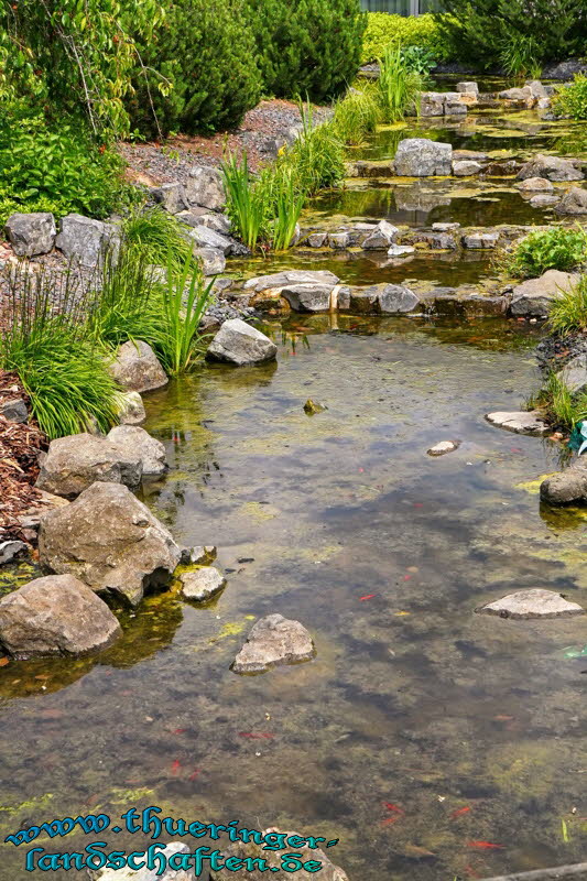 Japanischer Garten Leinefelde