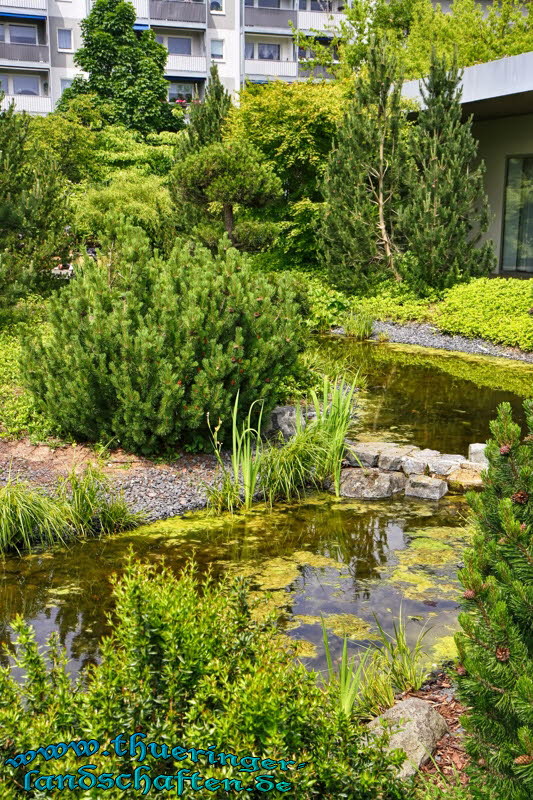 Japanischer Garten Leinefelde