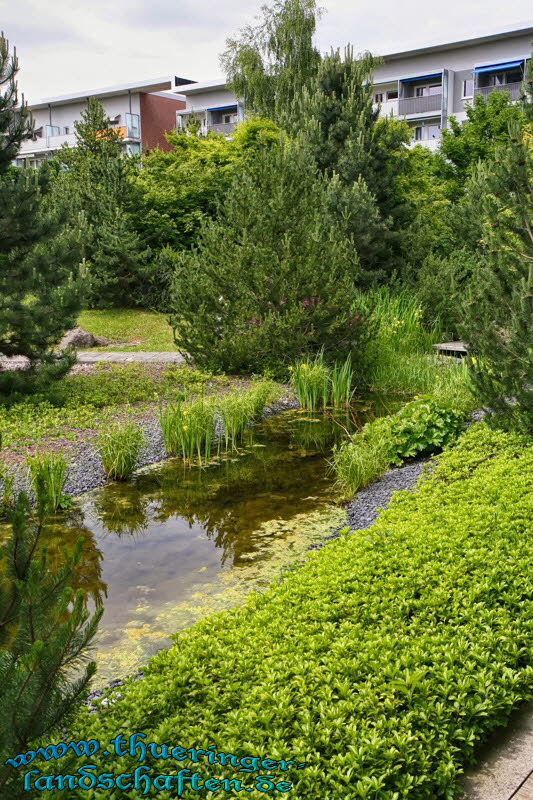 Japanischer Garten Leinefelde