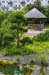 Japanischer Garten Leinefelde