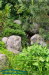 Japanischer Garten Leinefelde