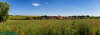 Wachstedt