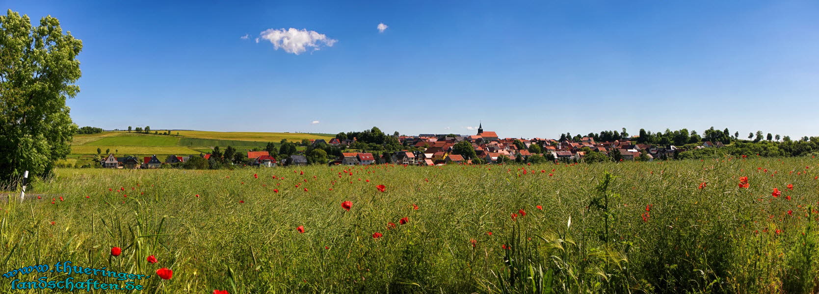 Wachstedt