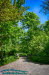 Englischer Garten