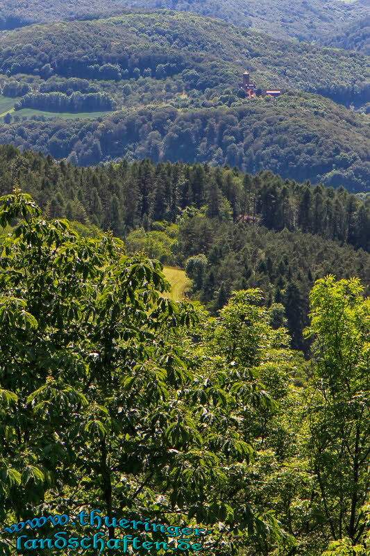 Weitsicht von der Burgruine Hanstein