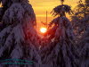 Sonnenuntergang Winterwald beim Oberbecken PSW Goldisthal