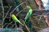 Alternativer Brenpark Worbis