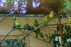 Alternativer Brenpark Worbis