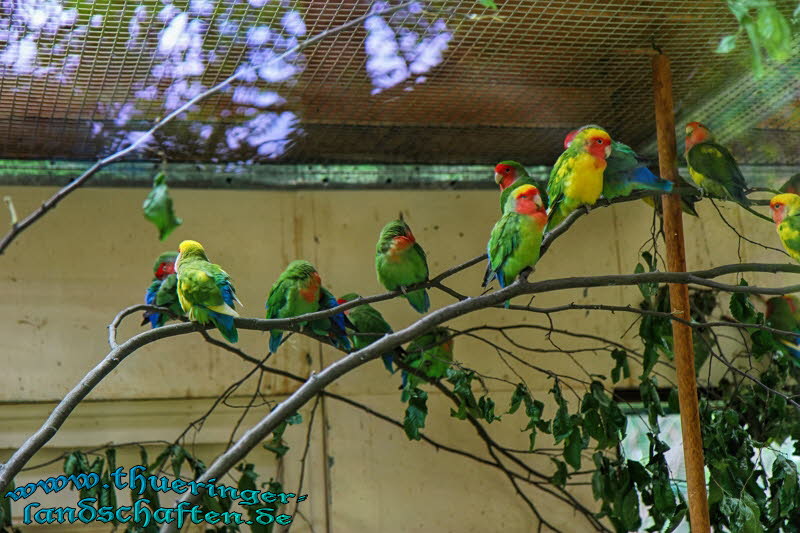 Alternativer Brenpark Worbis