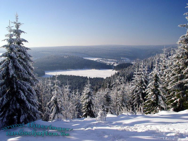 Blick vom Aussichtspunkt Weidmannsheil bei Neuhaus nach Scheibe-Alsbach