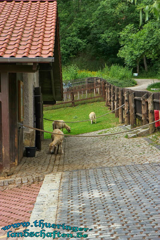 Alternativer Brenpark Worbis