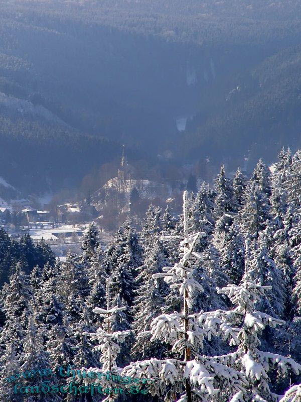 Blick vom Aussichtspunkt Weidmannsheil bei Neuhaus nach Scheibe-Alsbach