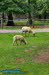 Alternativer Brenpark Worbis