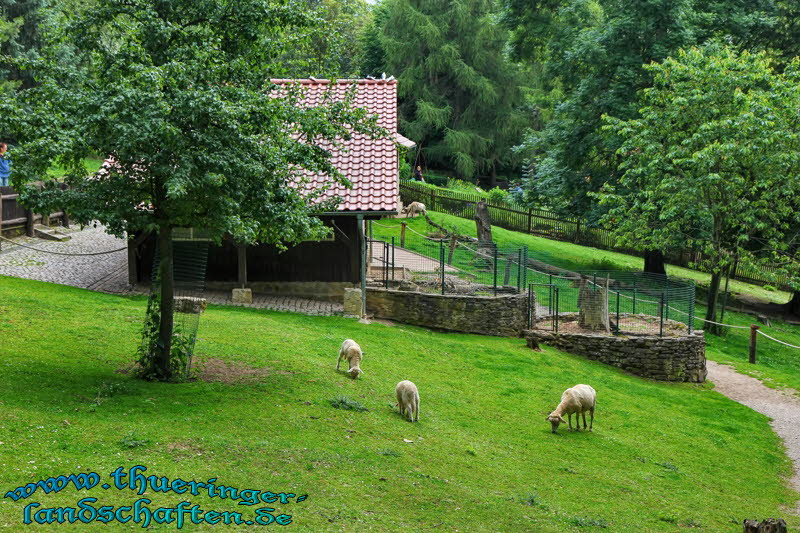 Alternativer Brenpark Worbis