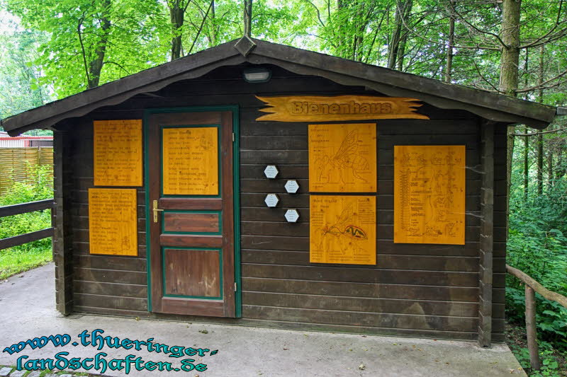 Alternativer Brenpark Worbis