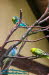 Alternativer Brenpark Worbis
