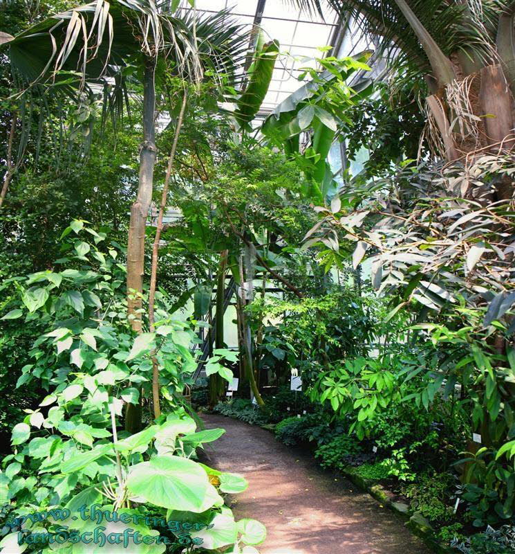 Botanischer Garten