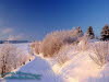 Winterlandschaft, Rennsteig bei Neuhaus/ Rwg.