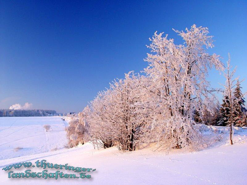 Winterlandschaft, Rennsteig bei Neuhaus/ Rwg.