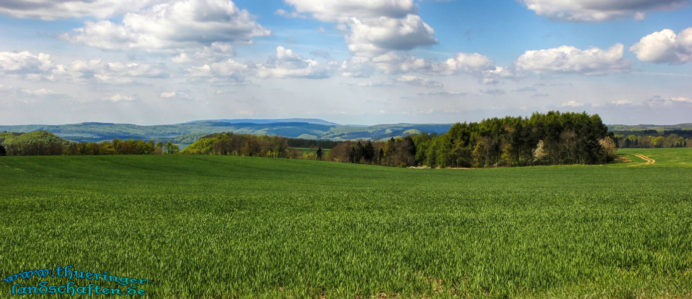 Blick ber das Eichsfeld von Wachstedt aus