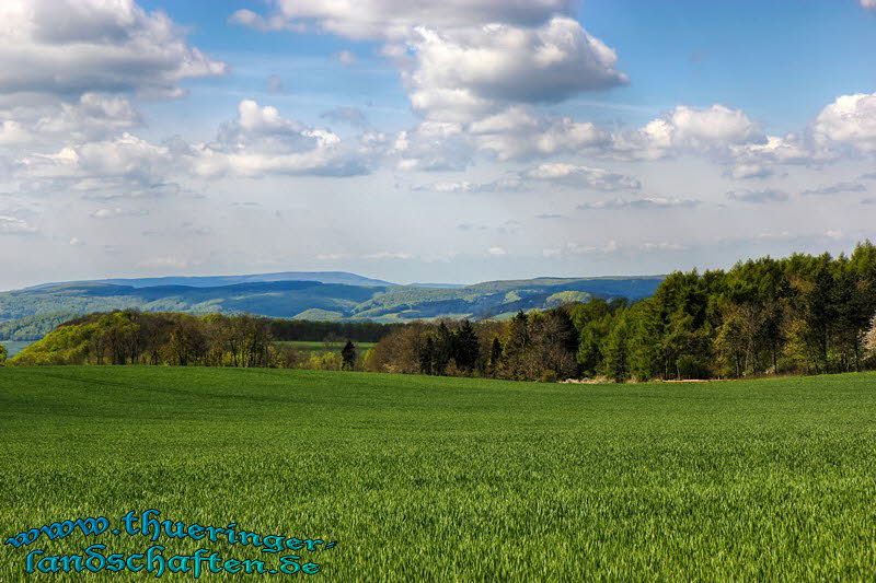Blick ber das Eichsfeld von Wachstedt aus