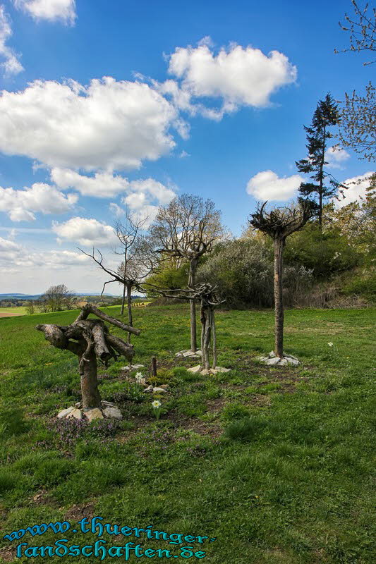Auf dem Warteberg bei Flinsberg