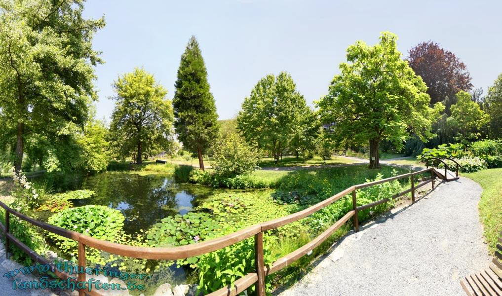 Botanischer Garten