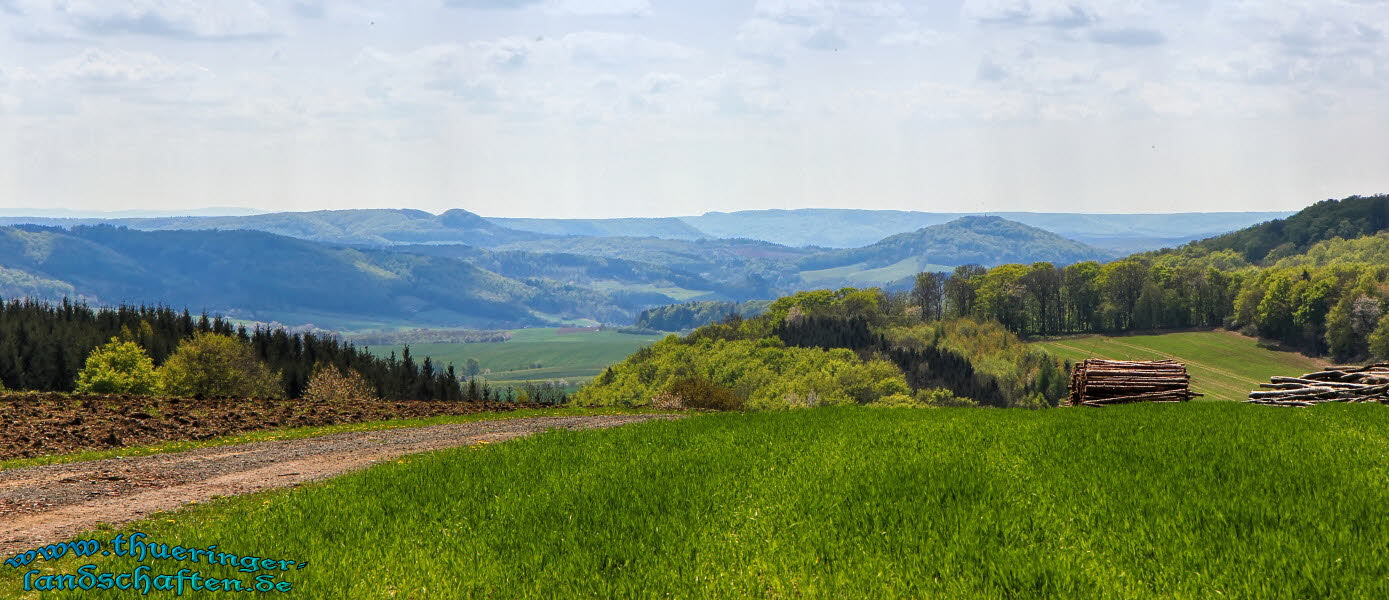 Blick ber das Eichsfeld von Kaltenleber aus