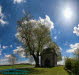 Sommerlinde und Klus Kalteneber