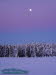 Winterwald auf dem Schneekopf bei Sonnenuntergang