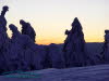 Winterwald auf dem Schneekopf bei Sonnenuntergang