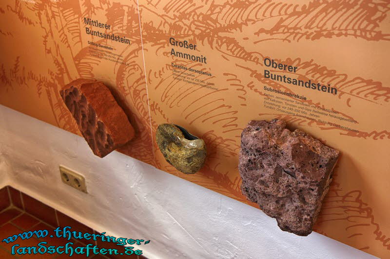 Naturparkinformation Frstenhagen