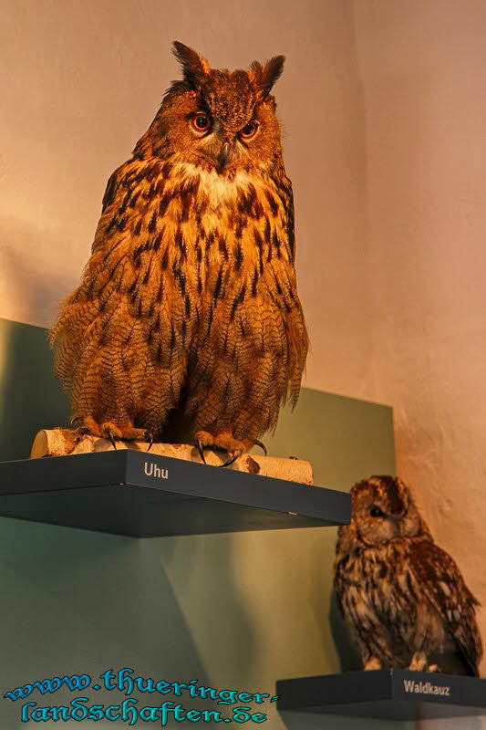 Naturparkinformation Frstenhagen