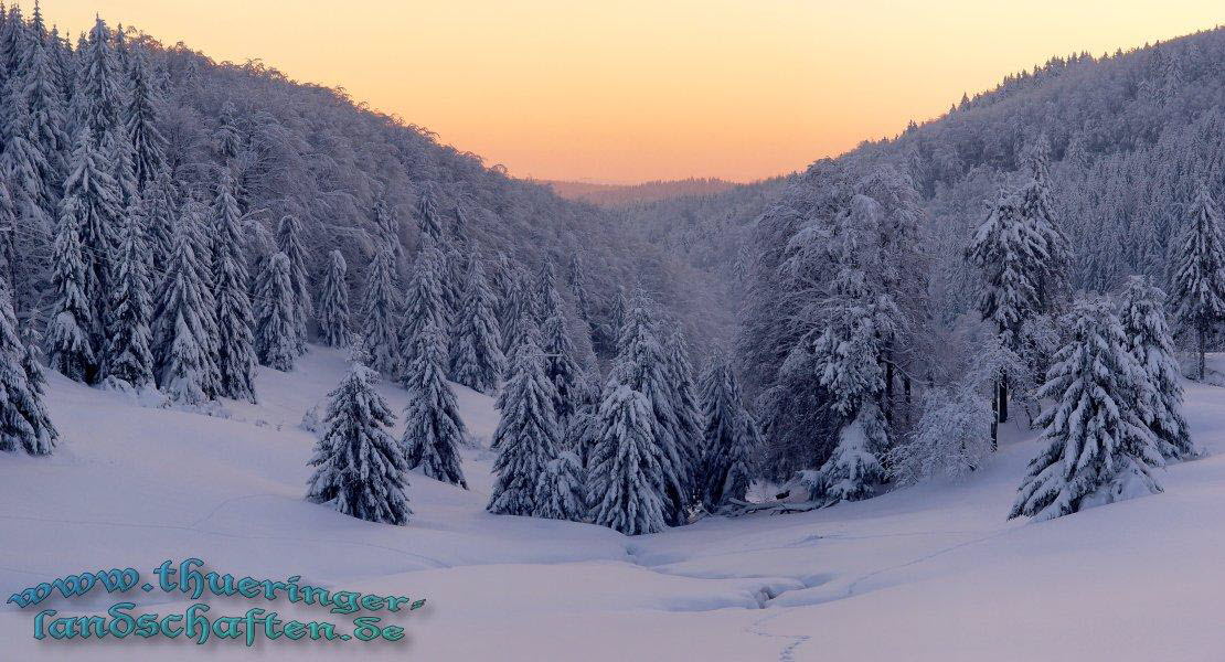 Winterlandschaft bei Masserberg