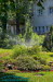 Heinrich Heine Park Heilbad Heiligenstadt