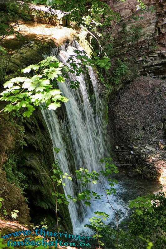 Heinrich Heine Park Heilbad Heiligenstadt