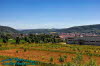 Blick auf Heilbad Heiligenstadt